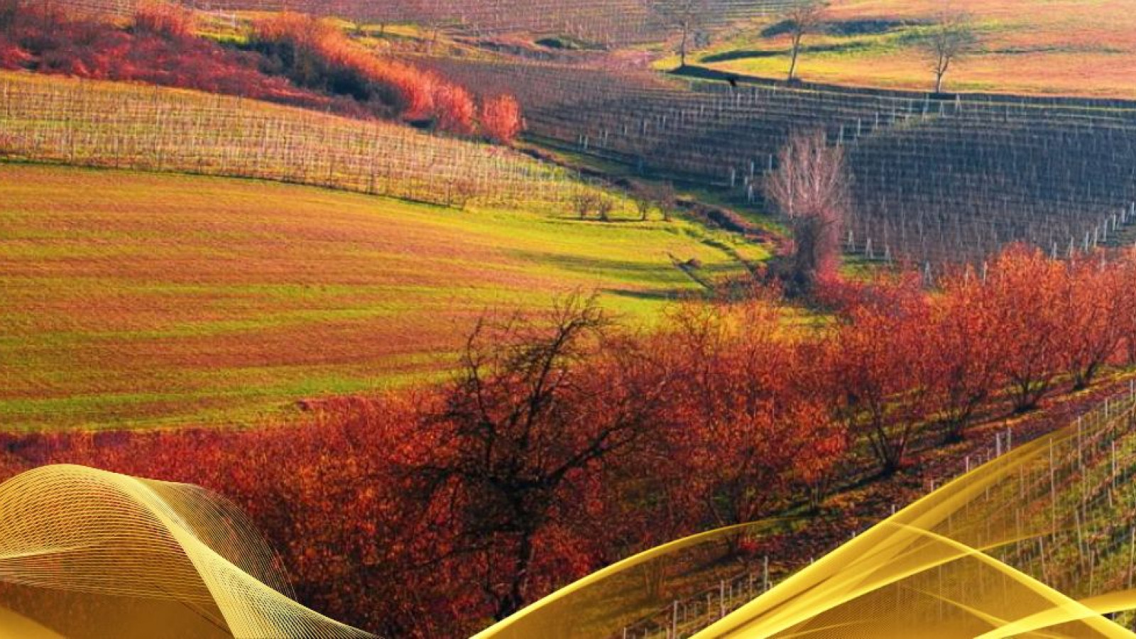 2026 W torino e le langhe 30 05 IN1