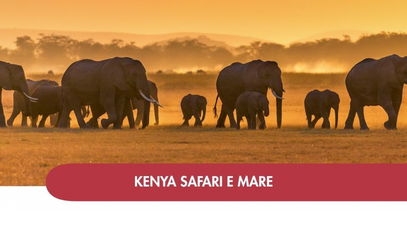 2026 africa total menya e mare 1 IN1