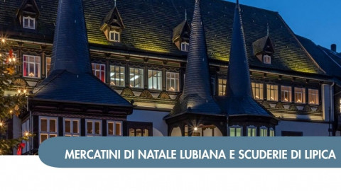 2026 W mercatini trieste  lubiana e scuderie di lipica 05 12 IN1