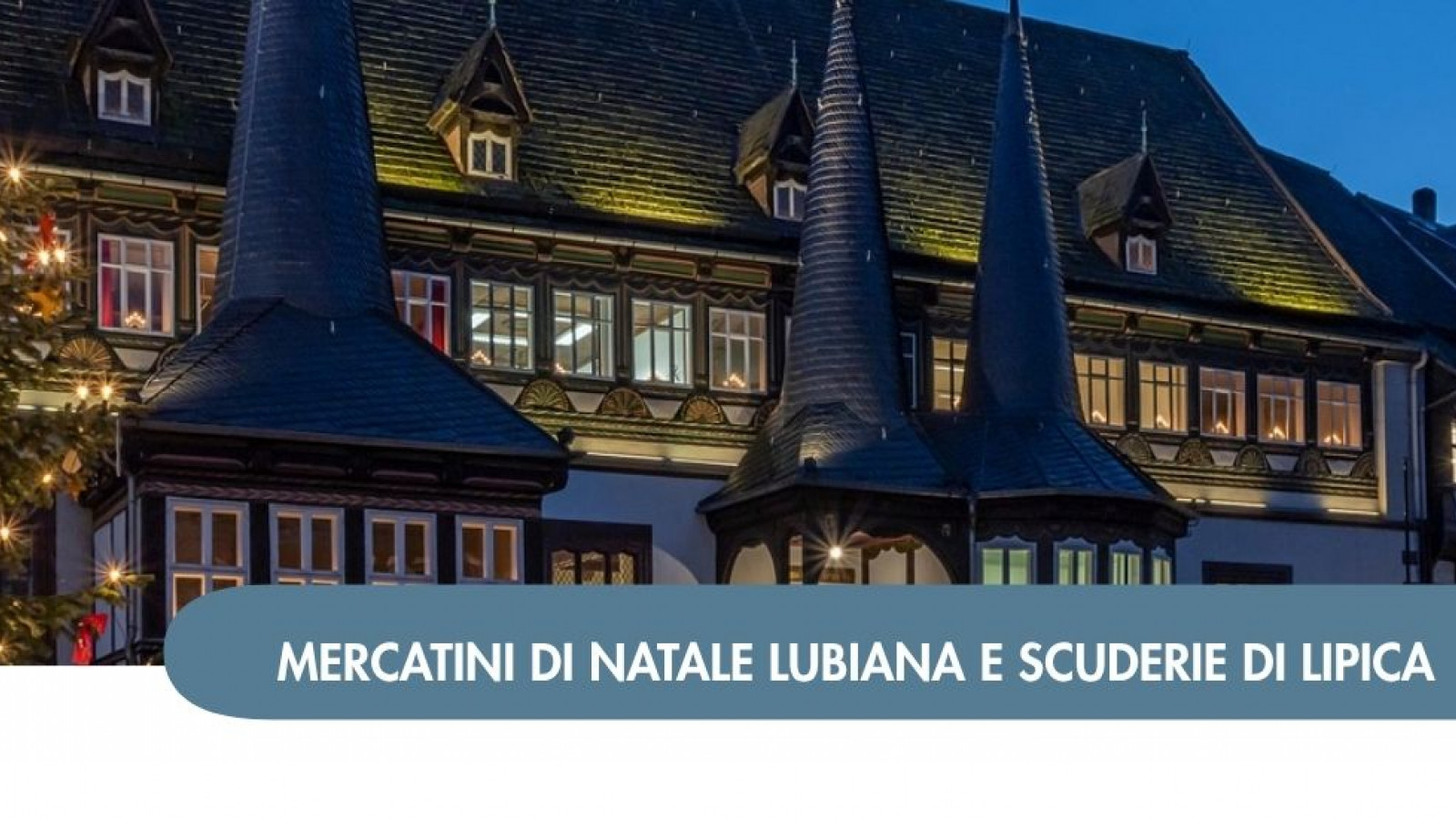 2026 W mercatini trieste lubiana e scuderie di lipica 05 12 IN1