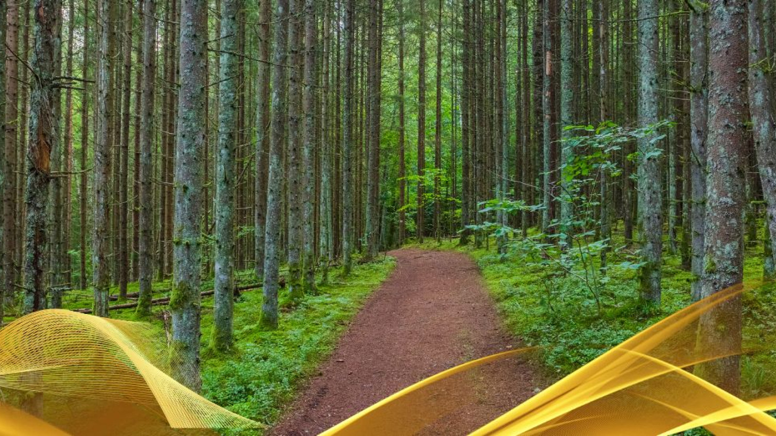 2026 paesi baltici 01 08 26 IN1 fabio